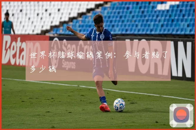 世界杯赌球输钱案例:参与者赔了多少钱