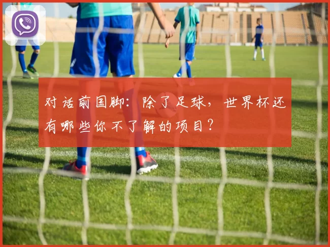 对话前国脚:除了足球,世界杯还有哪些你不了解的项目?