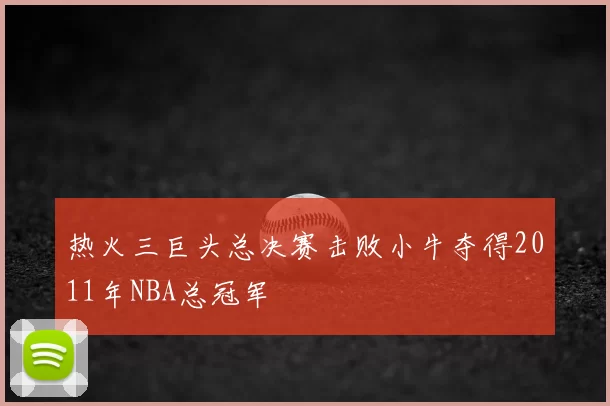 热火三巨头总决赛击败小牛夺得2011年NBA总冠军