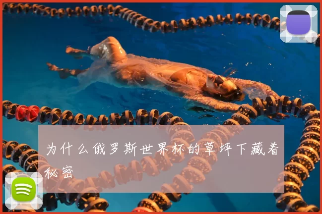 为什么俄罗斯世界杯的草坪下藏着秘密