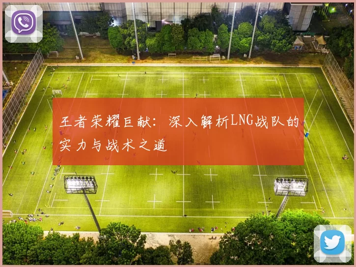 王者荣耀巨献：深入解析LNG战队的实力与战术之道