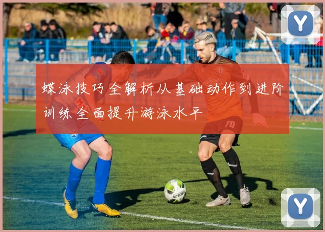 蝶泳技巧全解析从基础动作到进阶训练全面提升游泳水平