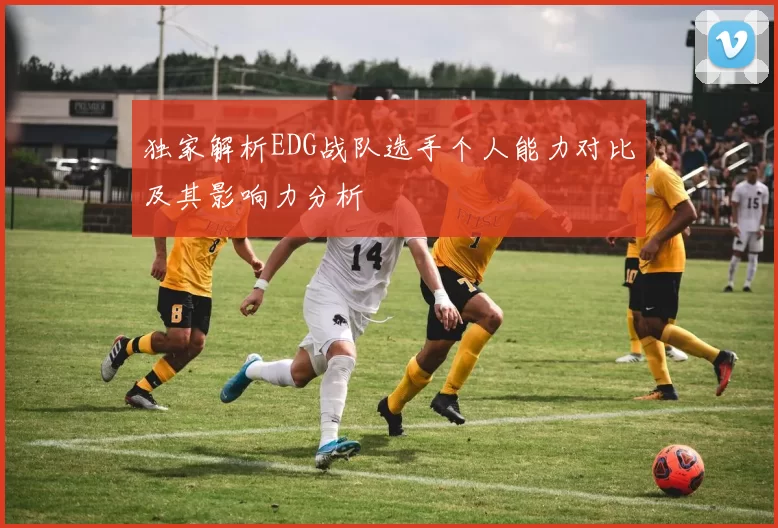 独家解析EDG战队选手个人能力对比及其影响力分析