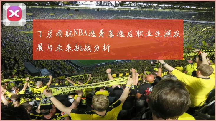 丁彦雨航NBA选秀落选后职业生涯发展与未来挑战分析