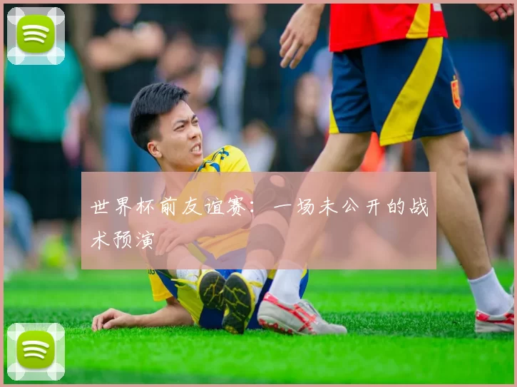 世界杯前友谊赛:一场未公开的战术预演