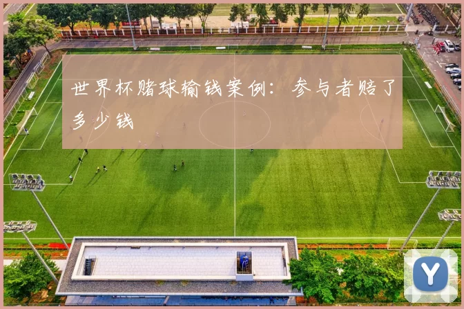 世界杯赌球输钱案例：参与者赔了多少钱