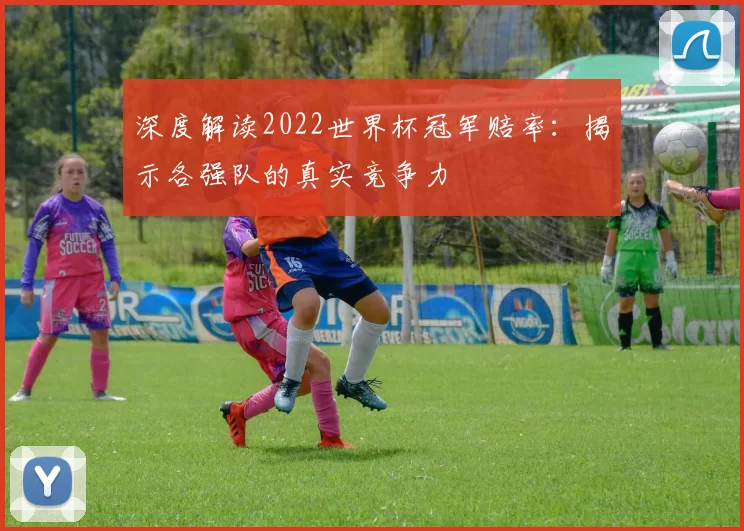 深度解读2022世界杯冠军赔率:揭示各强队的真实竞争力