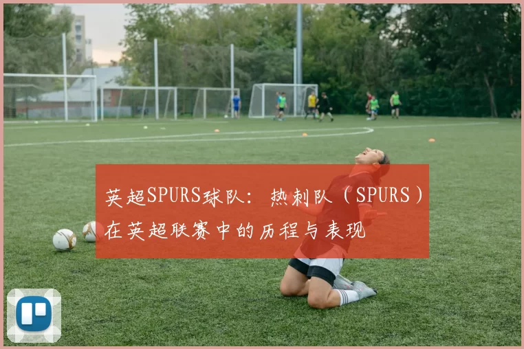 英超SPURS球队：热刺队（SPURS）在英超联赛中的历程与表现