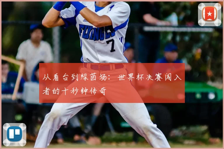 从看台到绿茵场：世界杯决赛闯入者的十秒钟传奇