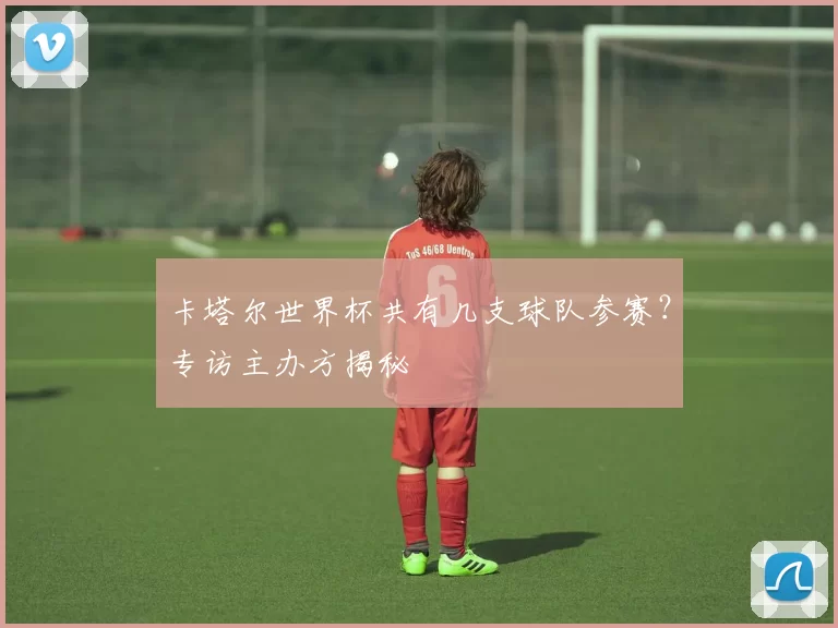 卡塔尔世界杯共有几支球队参赛?专访主办方揭秘