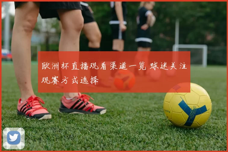 欧洲杯直播观看渠道一览 球迷关注观赛方式选择