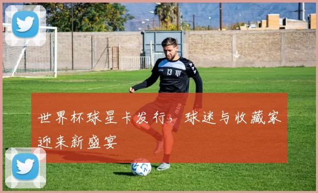 世界杯球星卡发行,球迷与收藏家迎来新盛宴