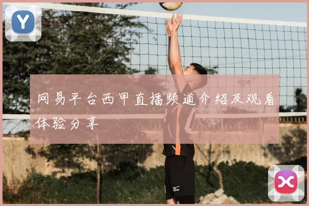 网易平台西甲直播频道介绍及观看体验分享