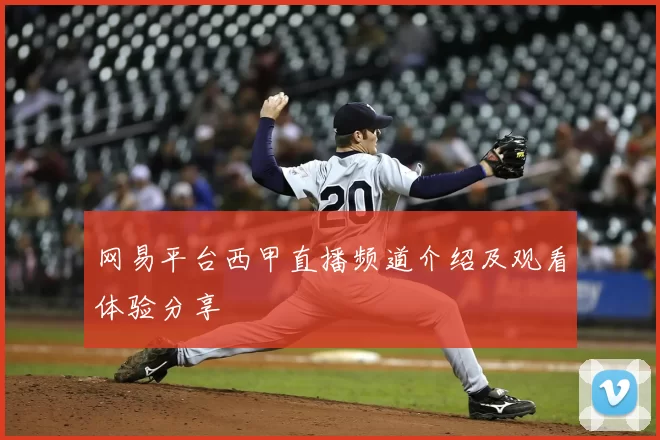 网易平台西甲直播频道介绍及观看体验分享