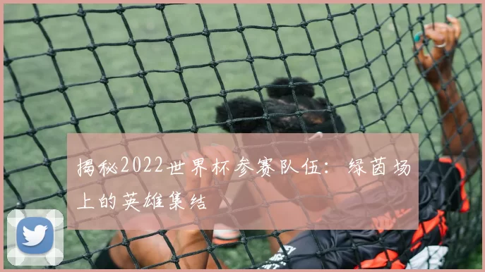 揭秘2022世界杯参赛队伍:绿茵场上的英雄集结