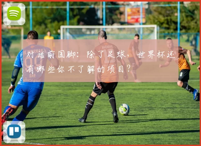 对话前国脚：除了足球，世界杯还有哪些你不了解的项目？
