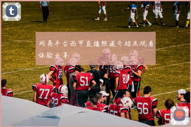 网易平台西甲直播频道介绍及观看体验分享