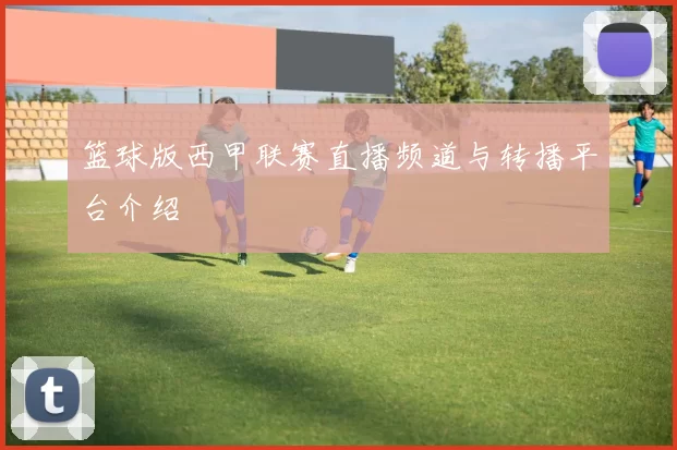 篮球版西甲联赛直播频道与转播平台介绍