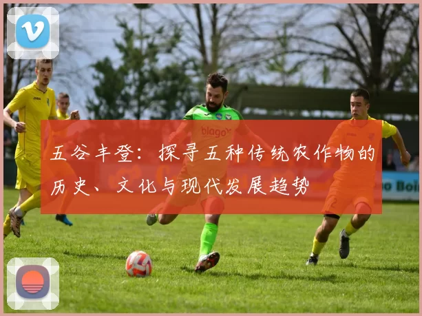 五谷丰登：探寻五种传统农作物的历史、文化与现代发展趋势