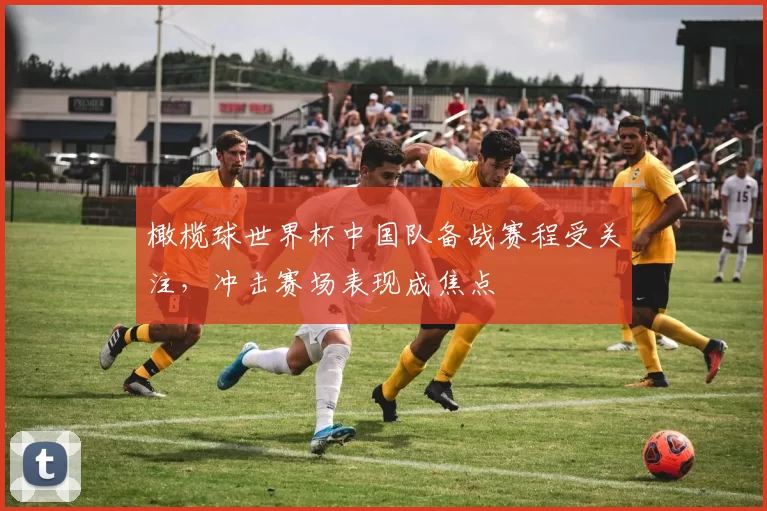 橄榄球世界杯中国队备战赛程受关注，冲击赛场表现成焦点