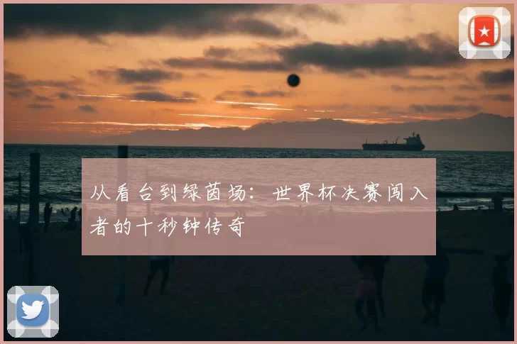 从看台到绿茵场:世界杯决赛闯入者的十秒钟传奇