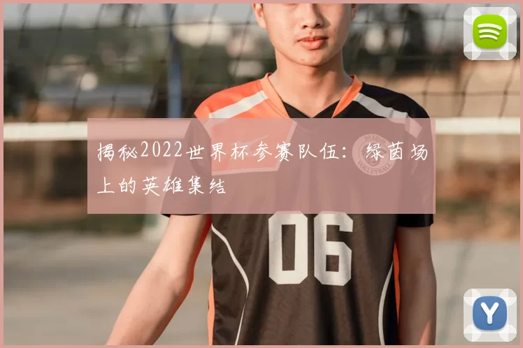 揭秘2022世界杯参赛队伍：绿茵场上的英雄集结
